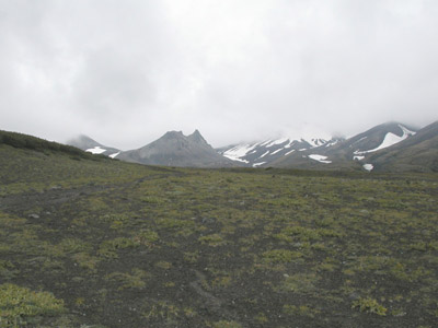 らくだ山遠景